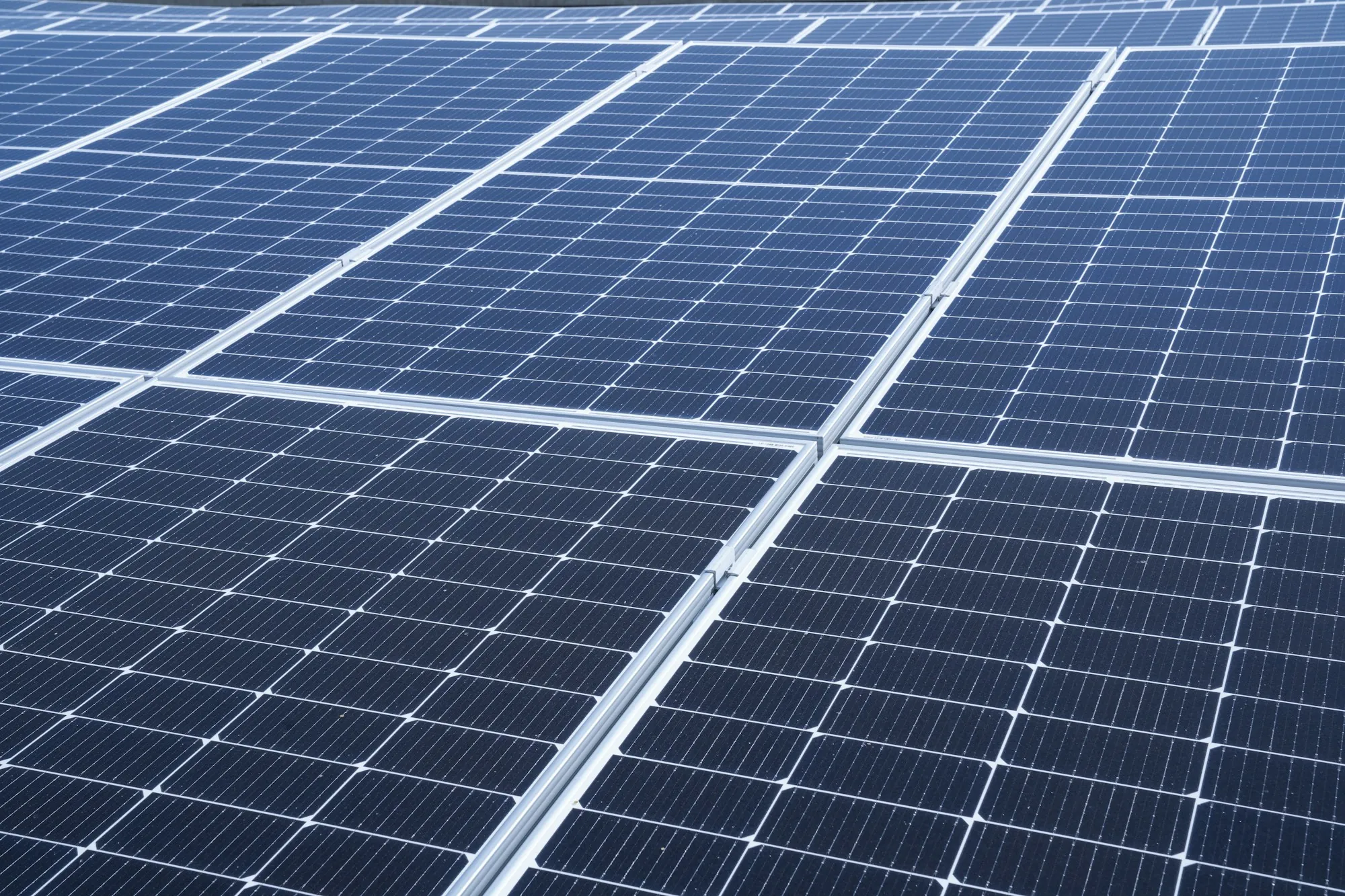 Grid of blue monocrystalline solar panels in daylight